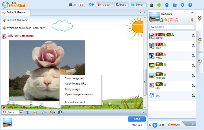 Image Transfer of 123FlashChat, Video Chat, Flash Chat, Chat Software, PHP Chat